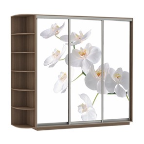 Шкаф Экспресс со стеллажом, 2100х600х2200, Орхидея белая/шимо темный в Краснодаре