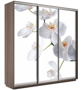 Шкаф 3-створчатый Экспресс 2400х600х2200, Орхидея белая/шимо темный в Новороссийске