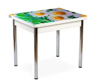 Кухонный пристенный стол СПА-01 СТФ, белый/фотопечать ромашки/опоры прямые хром в Краснодаре