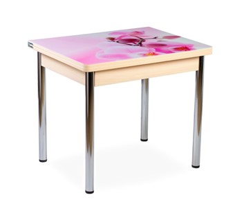 Кухонный пристенный стол СПА-01 СТФ, молочный дуб/фотопечать орхидея/опоры прямые хром в Краснодаре