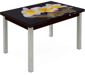 Кухонный стол раскладной Шанхай исп. 1, ноги метал. крашеные №21 Фотопечать (Цветы №11) в Сочи