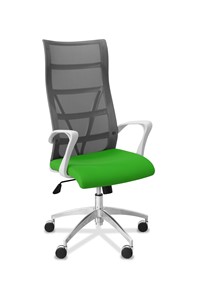 Офисное кресло для руководителя Топ X белый каркас, сетка/ткань TW / серая/салатовая в Краснодаре