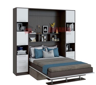 Кровать-шкаф с диваном DetalMaster Бела 1, с полкой ножкой, 1200х2000, венге/белый в Краснодаре
