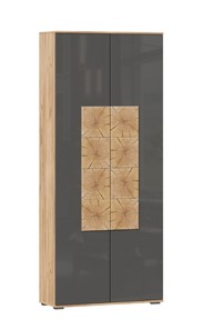 Шкаф двухстворчатый Фиджи с декоративными накладками 659.310, Дуб Золотой/Антрацит в Армавире