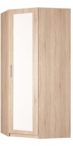 Угловой распашной шкаф Реал (YR-230х1034 (3)-М Вар.1), с зеркалом в Краснодаре - предосмотр