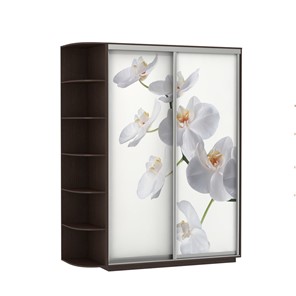 Шкаф 2-х створчатый Экспресс 1900x600x2200, со стеллажом, Орхидея белая/венге в Краснодаре