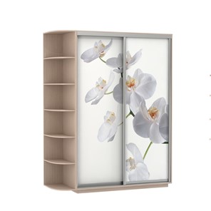 Шкаф 2-х дверный Экспресс 1900x600x2200, со стеллажом, Орхидея белая/дуб молочный в Краснодаре