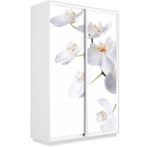 Шкаф 2-дверный Экспресс 1600x450x2400, Орхидея белая/белый снег в Краснодаре
