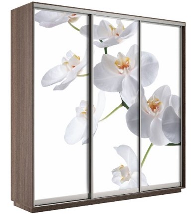 Шкаф Экспресс 1800х600х2200, Орхидея бела/шимо темный в Новороссийске - изображение