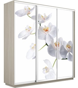Шкаф 3-х створчатый Экспресс 1800х600х2400, Орхидея белая/шимо светлый в Краснодаре