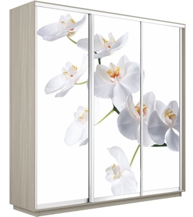 Шкаф трехдверный Экспресс 2400х600х2200, Орхидея белая/шимо светлый в Краснодаре - изображение
