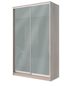 Шкаф 2-х створчатый Хит-22-12-22 с цветным стеклом, средне-серый 074, Дуб сонома в Сочи
