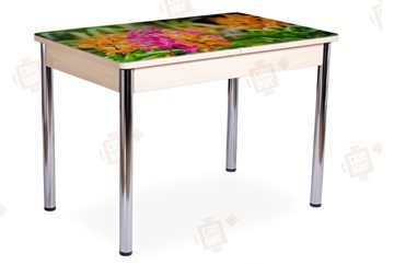 Кухонный стол раскладной Айсберг-02 СТФ, Дуб ЛДСП/полевые цветы/ноги хром прямые в Сочи