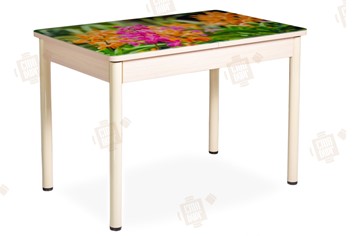 Кухонный раскладной стол Айсберг-02 СТФ, Дуб ЛДСП/полевые цветы/ноги крашеные в Армавире