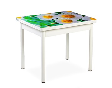 Кухонный пристенный стол СПА-01 СТФ, белый/фотопечать ромашки/опоры прямые белые в Краснодаре