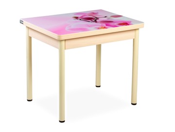Кухонный пристенный стол СПА-02 СТФ, молочный дуб/фотопечать орхидея/опоры бежевый в Сочи