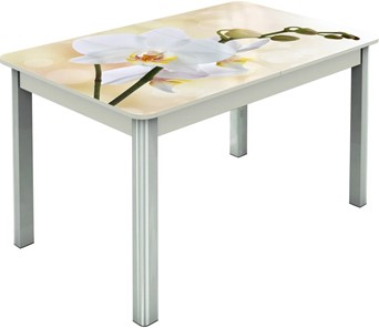 Кухонный раскладной стол Гамбург исп.2 ноги метал. крашеные №23, Фотопечать (Цветы №5) в Сочи