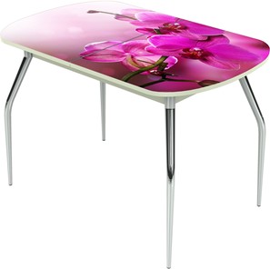 Кухонный стол раскладной Ривьера исп.1 ноги метал. крашеные №24 Фотопечать (Цветы №16) в Армавире