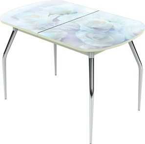 Кухонный стол раскладной Ривьера исп.1 ноги метал. крашеные №24 Фотопечать (Цветы №36) в Краснодаре