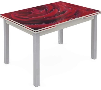 Кухонный стол раскладной Шанхай исп. 2, ноги метал. крашеные №21 Фотопечать (Цветы №39) в Армавире