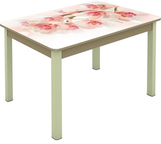 Обеденный стол Мюнхен исп. 1 ноги метал. крашеные №23 Фотопечать (Цветы №10) в Сочи