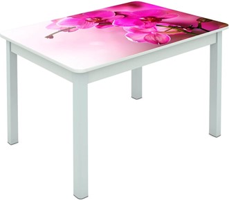 Обеденный стол Мюнхен исп. 1 ноги метал. крашеные №23 Фотопечать (Цветы №16) в Сочи