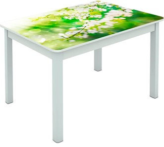 Обеденный стол Мюнхен исп. 1 ноги метал. крашеные №23 Фотопечать (Цветы №45) в Сочи