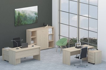 Набор мебели в офис Twin для 2 сотрудников со шкафом для документов в Сочи - предосмотр
