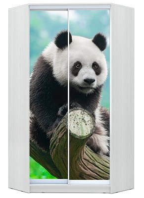Шкаф угловой Хит-У-24-4-77-29, Панда, Белый в Краснодаре - изображение