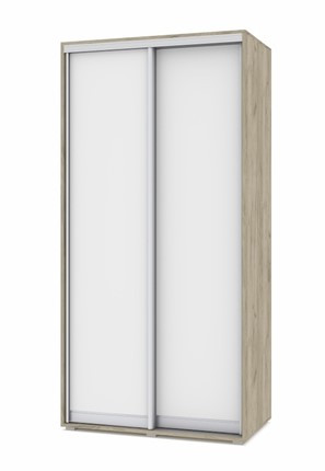 Шкаф-купе 2-х дверный О41, Серый дуб - Белый в Краснодаре - изображение