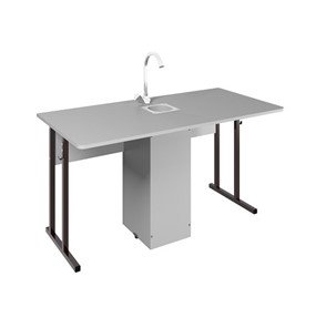 Детский стол 2-местный для кабинета химии Стандарт 6, Пластик Серый/Коричневый в Армавире