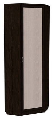 Шкаф распашной 402 угловой со штангой, цвет Венге в Краснодаре - изображение