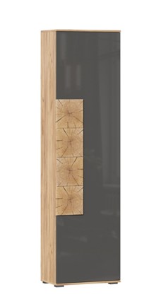Шкаф одностворчатый Фиджи с декоративными накладками 659.300, Дуб Золотой/Антрацит в Армавире - изображение