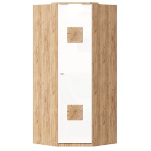 Шкаф угловой 45 с декоративной накладкой Фиджи, 659.248, белый в Новороссийске - предосмотр