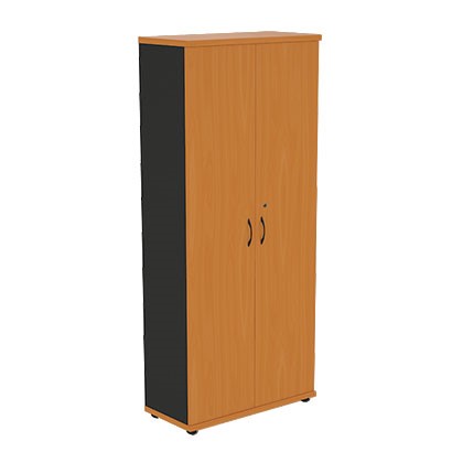 Шкаф двухдверный Моно-Люкс R5S05 в Краснодаре - изображение