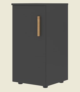 Шкаф колонна низкий с глухой левой дверью FORTA Черный Графит FLC 40.1 (L) (399х404х801) в Армавире