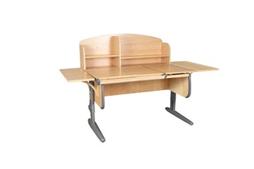 Детский стол-трансформер 1/75-40 (СУТ.25) + Polka_b 1/550 (2 шт.) + Polka_n 1/1200 бежевый/серый/серый в Сочи
