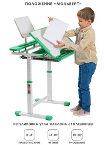 Растущая парта и растущий стул SET HOLTO-17А, зеленый в Новороссийске - предосмотр 2